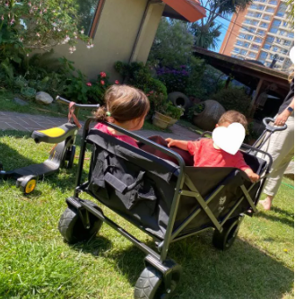 Carrito transportador plegable