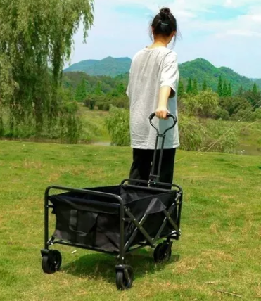 Carrito transportador plegable